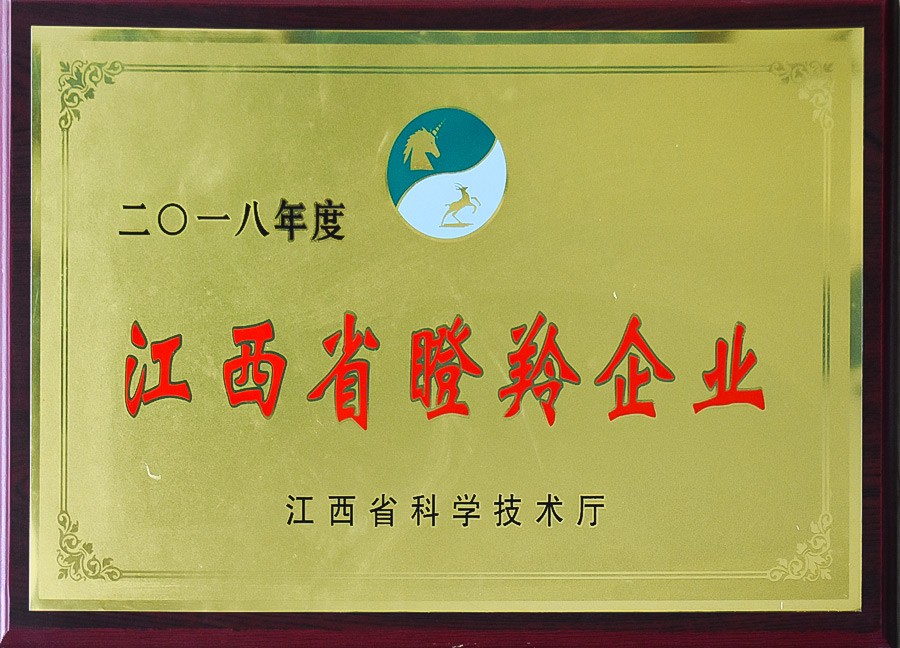 江西省瞪羚企业