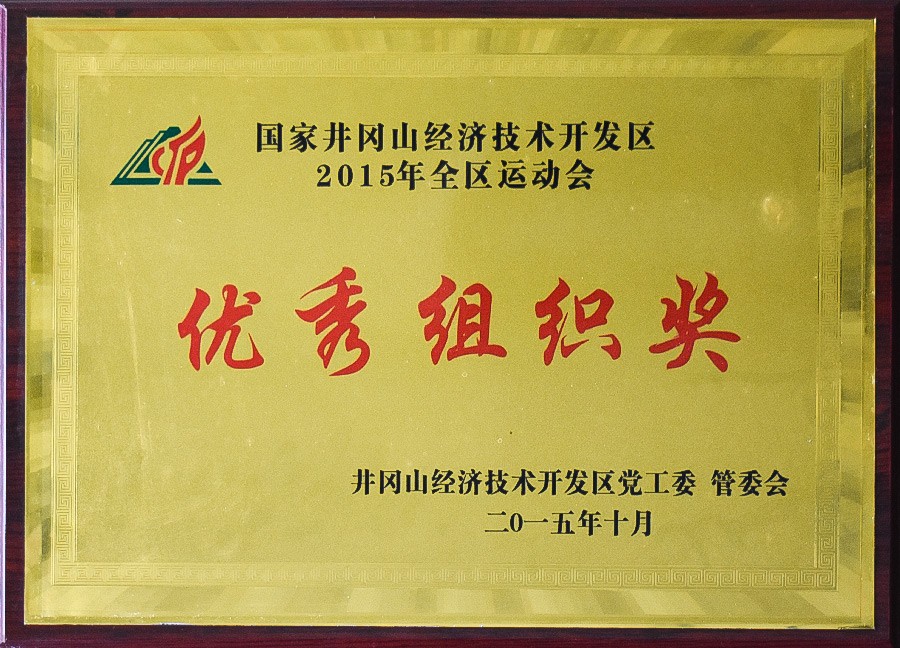 优秀组织奖